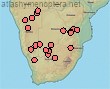 Distribution Meganomia binghami