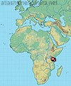 Distribution de Pseudophilanthus stavoensis