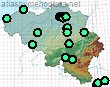 Osmia tridentata