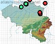 Megachile analis