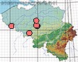 ribution de Colletes hederae en Belgique
