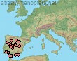 Distribution Dasypoda morotei