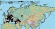 Rophites algirus
