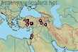 Rophites nigripes