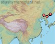 Distribution Macropis ussuriana