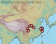 Distribution Macropis hedini
