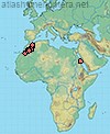 Distribution Promelitta alboclypeata