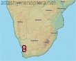 Lasioglossum fynbosense