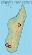 Afrostelis madagascariensis