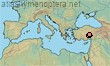 D. (Dasypoda) warnckei Michez 2004