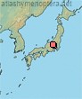D. (Dasypoda) japonica Cockerell 1911