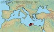 Halictus cyrenaicus