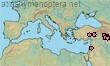 Seladonia kusdasi