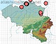 Megachile analis