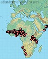Pseudapis interstitinervis & kuhlmanni
