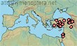 Lasioglossum caspicum