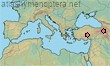 Lasioglossum equestre