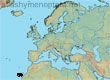 Lasioglossum arctifrons