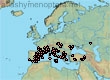 Halictus (Vestitohalictus) vestitus (378 specimens)