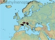 Halictus (Halictus) carinthiacus (13 specimens)