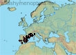 Halictus (Halictus) crenicornis (130 specimens)
