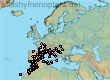 Halictus (Halictus) fulvipes (573 specimens)