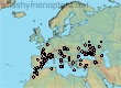 Halictus (Halictus) patellatus (223 specimens)
