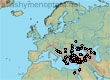 Halictus (Halictus) resurgens (109 specimens)