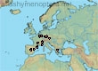 Lasioglossum (Lasioglossum) breviventre (50 specimens)