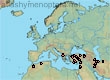 Lasioglossum (Lasioglossum) cristula (34 specimens)