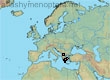 Lasioglossum (Lasioglossum) eurasicum (64 specimens)