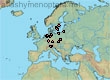 Lasioglossum (Lasioglossum) sexmaculatum (50 specimens)