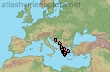 Dufourea styx
