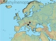 Lasioglossum (Dialictus) danuvium (32 specimens)