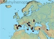 Lasioglossum (Dialictus) podolicum (32 specimens)