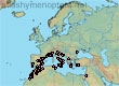 Nomioides facilis (725 specimens)