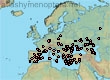 Nomioides minutissimus (233 specimens)