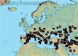 Nomiapis diversipes (1212 specimens)