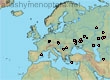 Nomiapis femoralis (168 specimens)