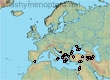 Nomiapis monstrosa (93 specimens)