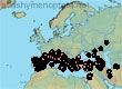 Ceratina (Euceratina) chalcites (966 specimens)