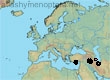 Ceratina (Euceratina) christellae (27 specimens)