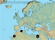 Ceratina (Pithitis) citriphila (33 specimens)