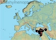 Ceratina (Euceratina) moricei (253 specimens)