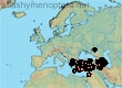 Ceratina (Euceratina) nigroaenea (134 specimens)