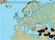 Ceratina (Euceratina) tibialis (81 specimens)