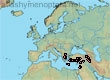 Lasioglossum (Evylaeus) angustipes (125 specimens)