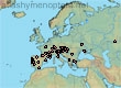 Lasioglossum (Evylaeus) buccale (102 specimens)