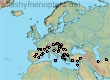 Lasioglossum (Evylaeus) elegans (73 specimens)