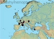 Lasioglossum (Evylaeus) euboeense (28 specimens)